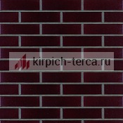 Кирпич клинкерный пустотелый Terca® Futura ASTRO гладкий 1/2 W 250*60*65
