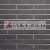 Кирпич клинкерный пустотелый Terca® POLARIS гладкий 1/2 W 250*60*65